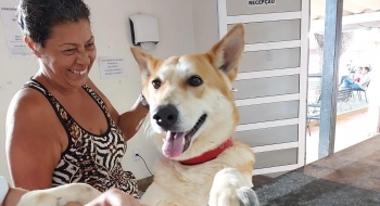 Tutores de baixa renda têm atendimento veterinário gratuito em Goiânia